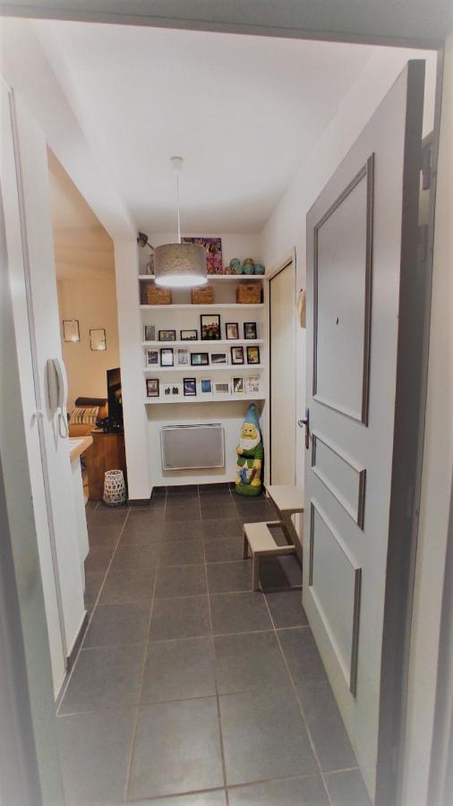 Appartamento T2 Entre Ocean Et Montagnes*Jardin*Wifi Gratuit* Ustaritz Esterno foto